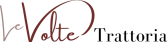 levolte_logo_prev_ui